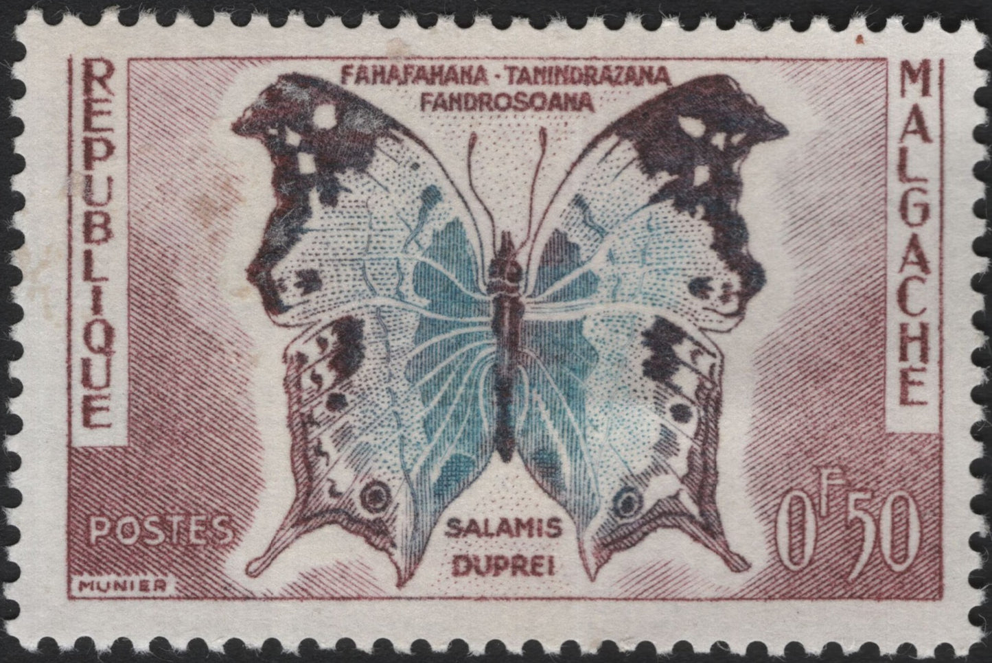 SCG4101 - Madagascar 1961 – Salamis duprei Butterfly