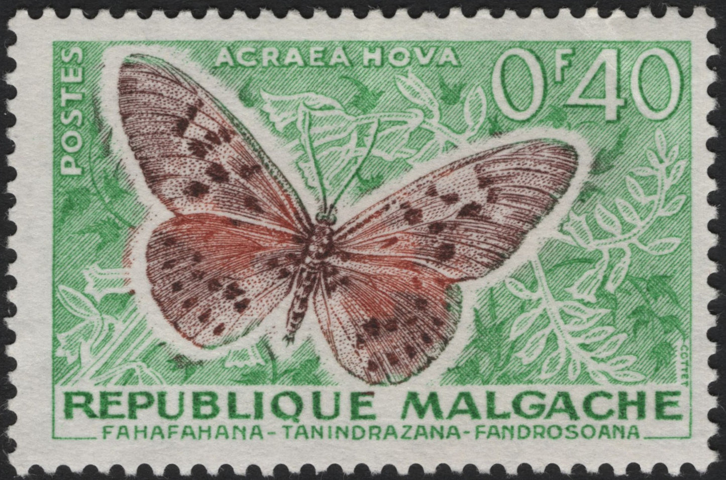 SCG4103 - Madagascar 1960s – Acraea Hova Butterfly