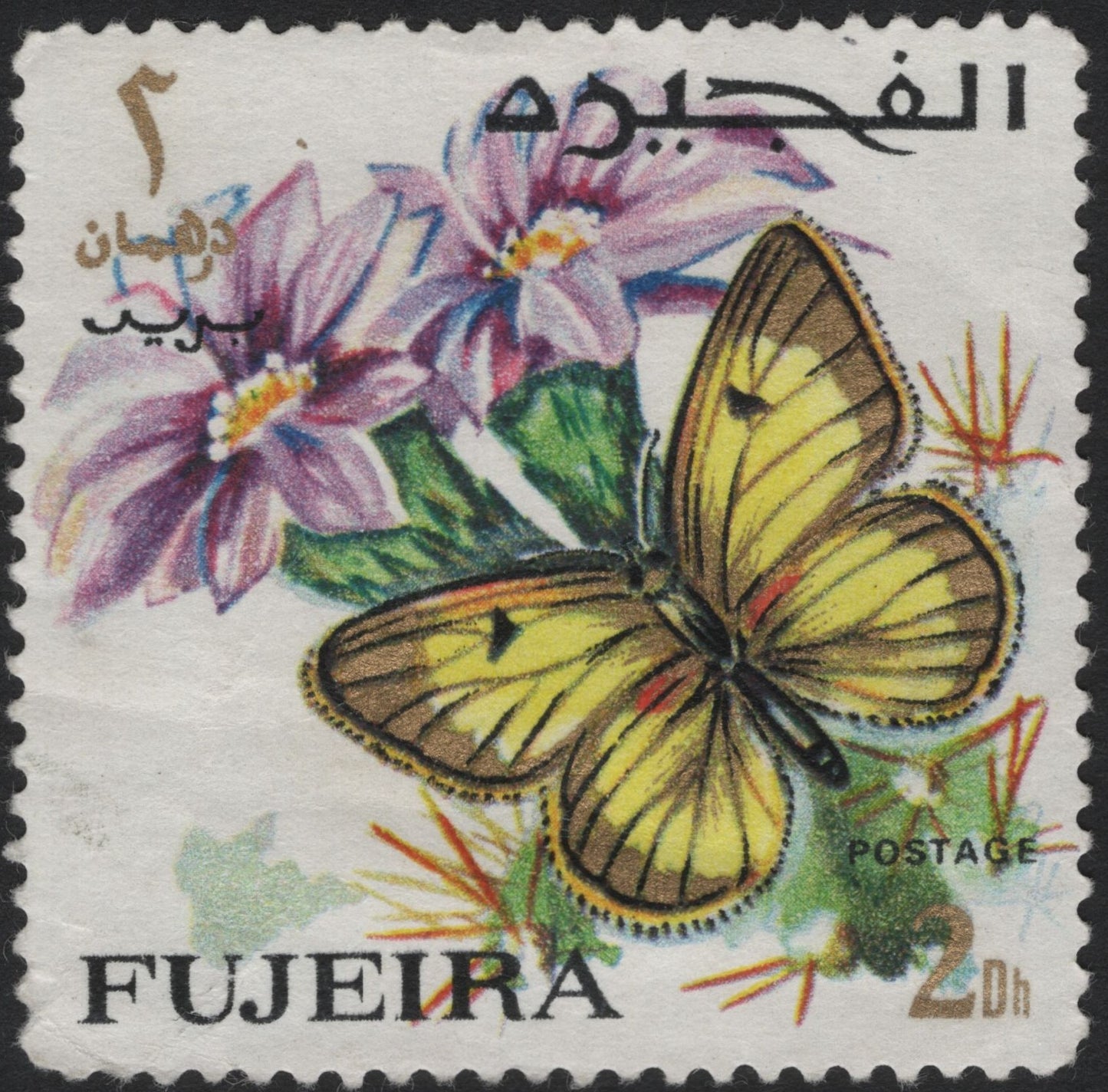 SCG4122 - Fujeira 2 Dirhams – Butterfly & Flowers (c.1960s-70s)