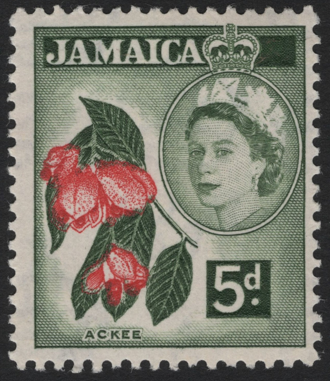 SCG4390 - Jamaica – Queen Elizabeth II Definitives (Ackee & Breadfruit, 1956–1958)