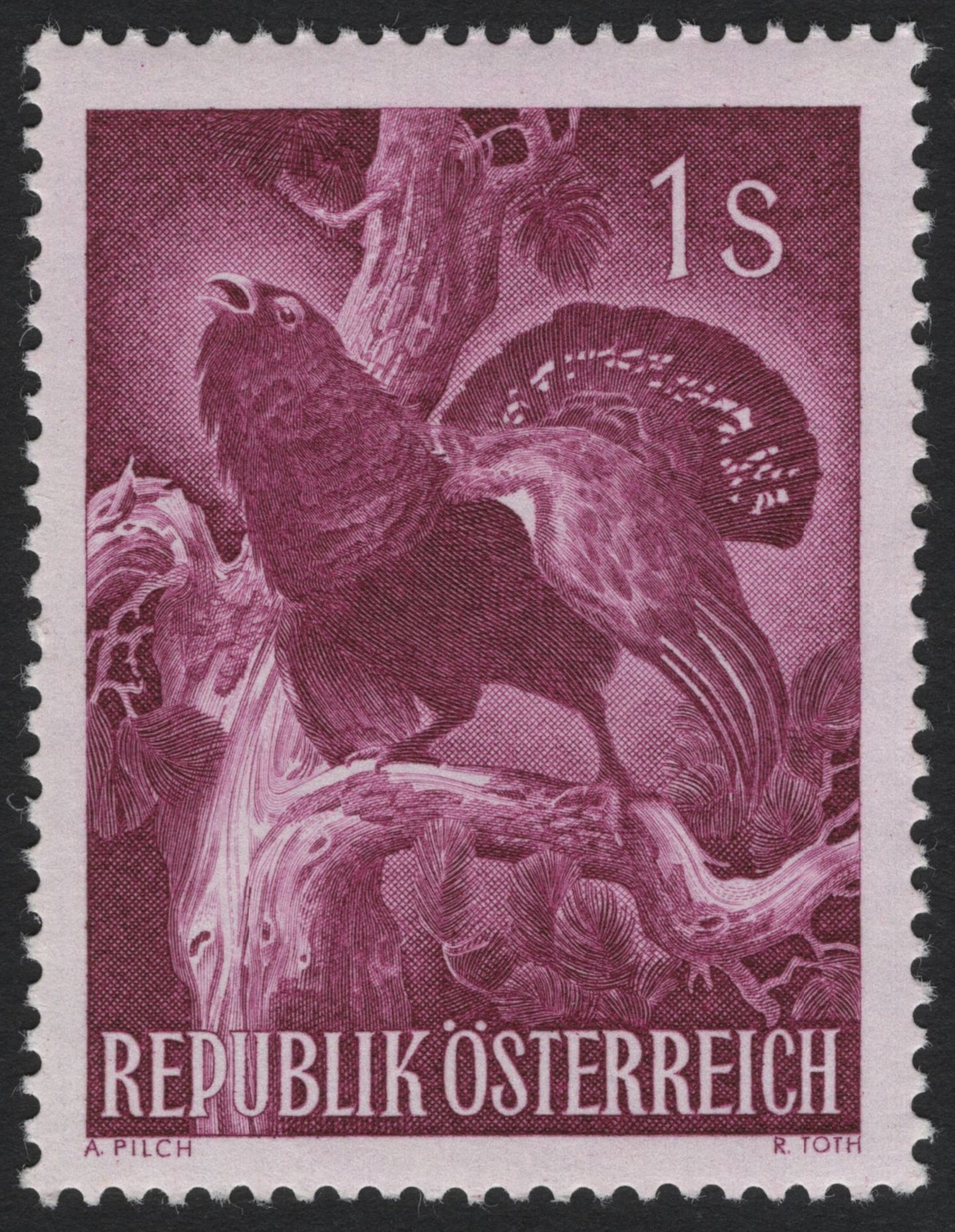 SCG4624 - Austria 1960s Capercaillie Bird 1 Schilling Stamp