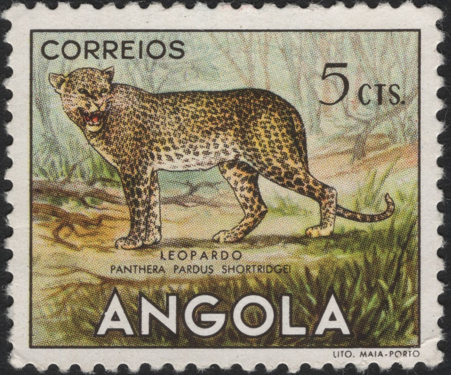 SCG4618 - Angola 5 Centavos Leopard Stamp – Panthera pardus shortridgei