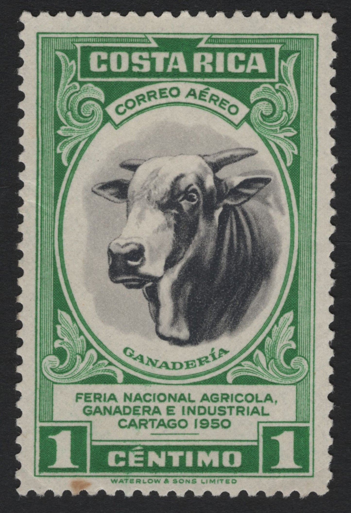 SCG4633 - Costa Rica 1950 – 1 Céntimo Airmail Stamp, National Agricultural Fair (Cattle Theme)