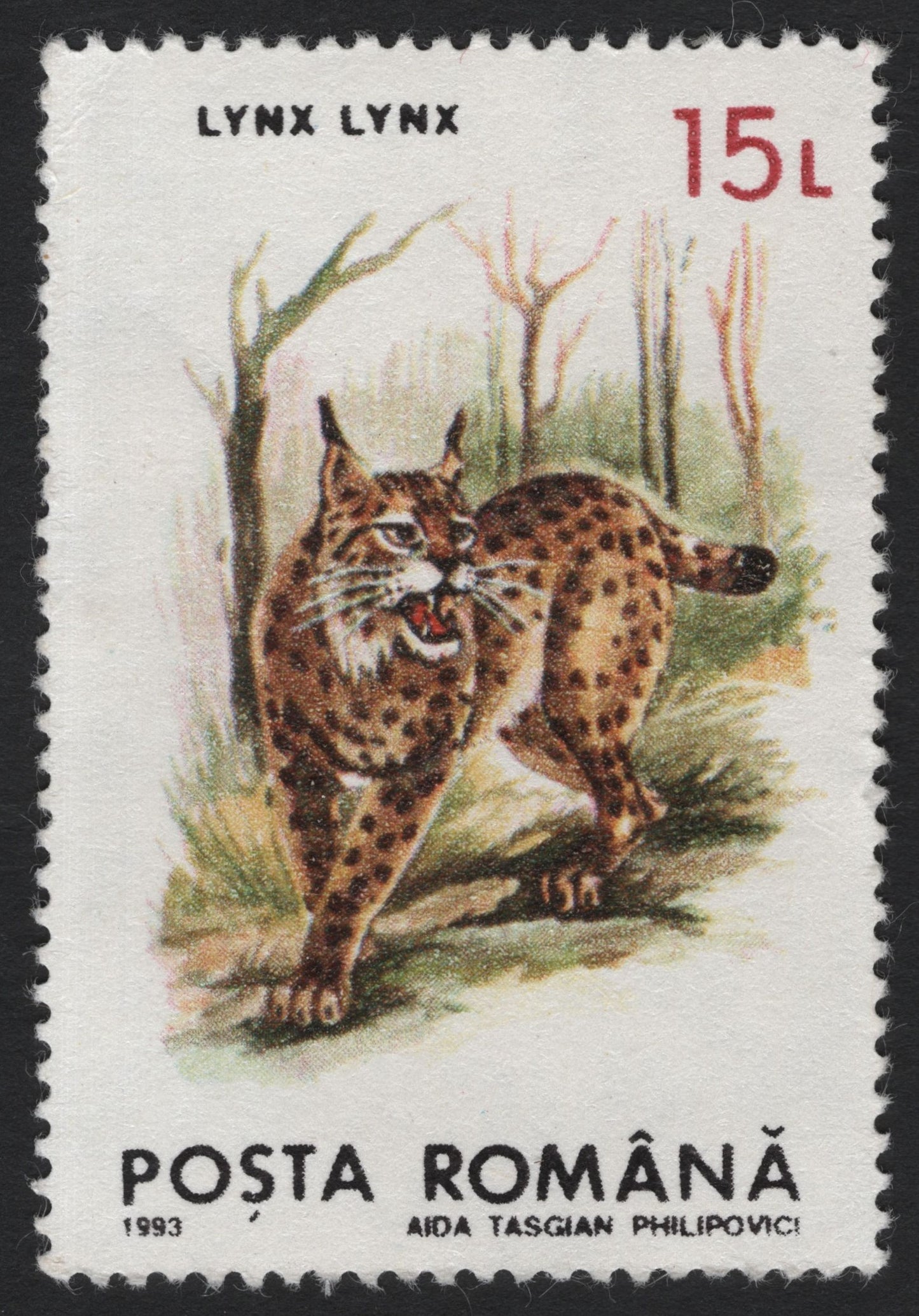 SCG4645 - Romania 1993 – Eurasian Lynx (Lynx lynx) 15 Lei