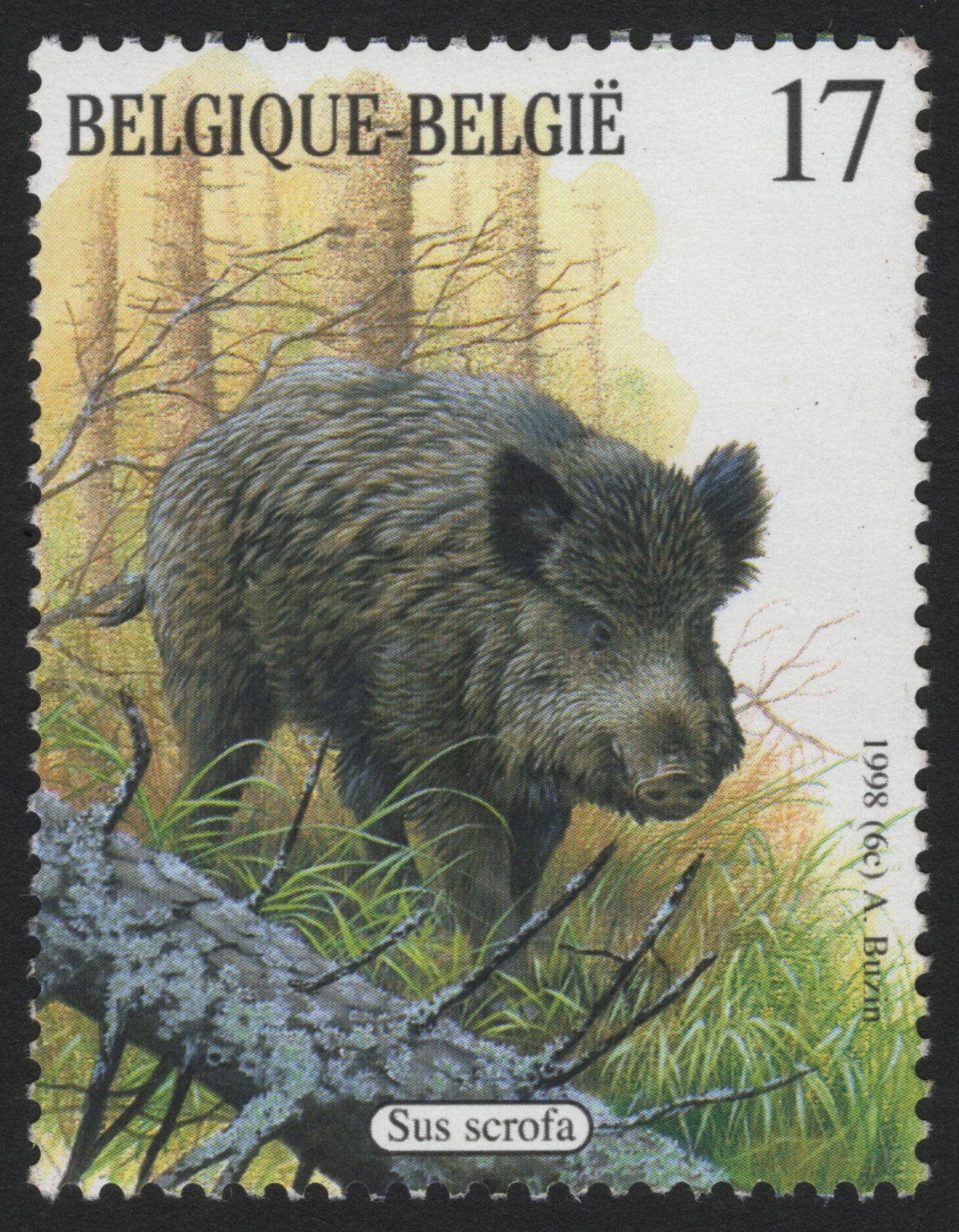 SCG4647 - Belgium 1998 – Wild Boar Sus scrofa (17F)