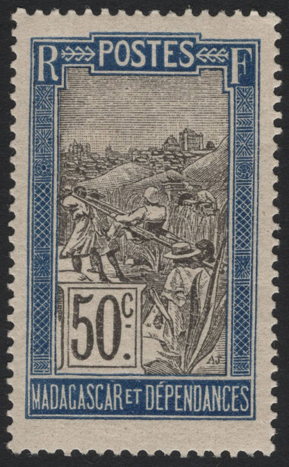 SCG4977 - Madagascar & Dependencies – Rice Harvesting Scene (Early 20th Century)