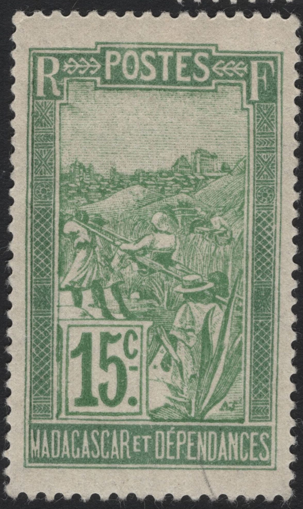 SCG4977 - Madagascar & Dependencies – Rice Harvesting Scene (Early 20th Century)