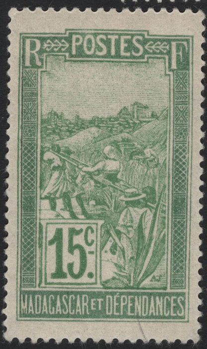 SCG4977 - Madagascar & Dependencies – Rice Harvesting Scene (Early 20th Century)