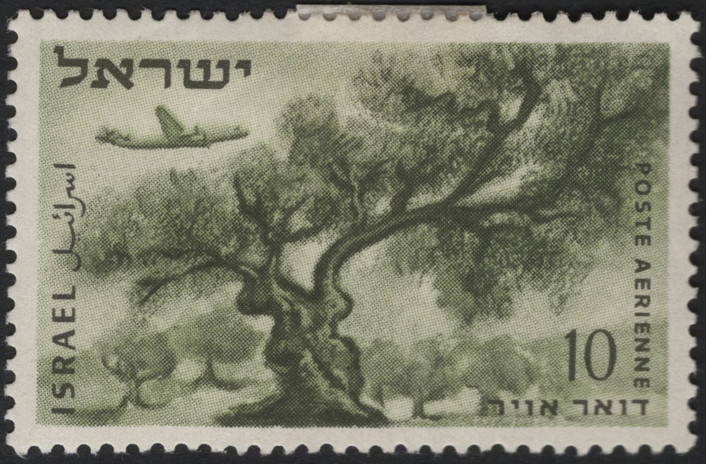 SCG5113 - Israel 1950 Olive Tree & Airplane Airmail Stamp – 10 Pruta