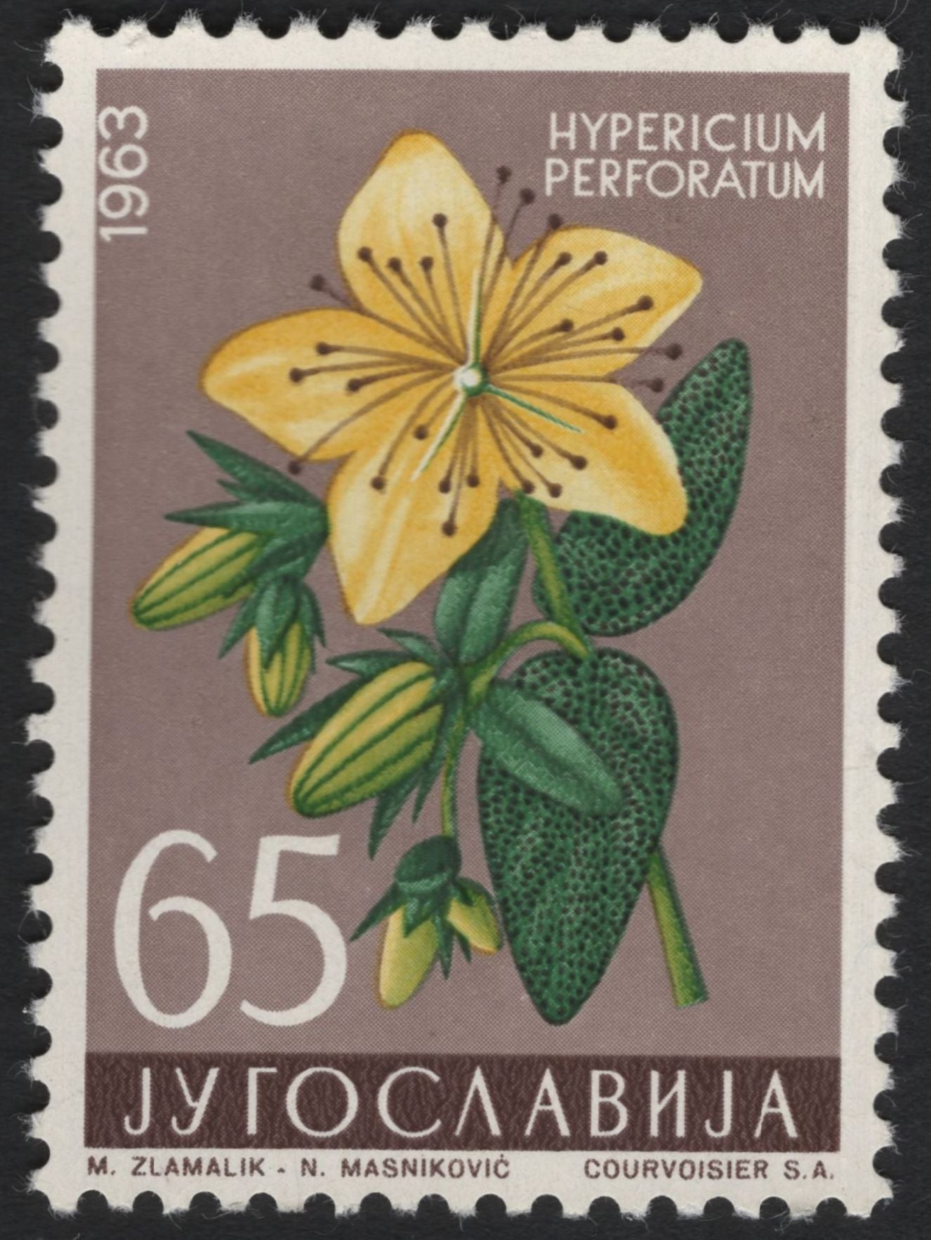 SCG5068 - Yugoslavia 1963 Medicinal & Decorative Flowers Set