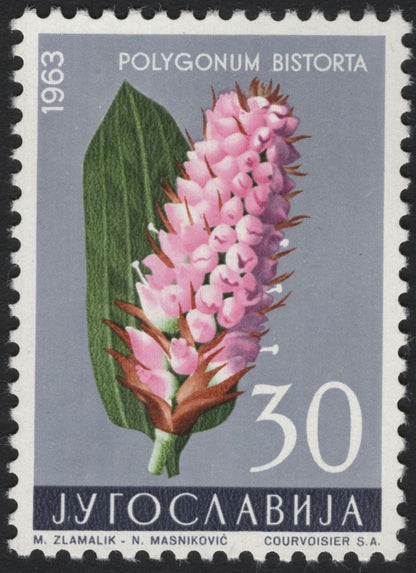 SCG5068 - Yugoslavia 1963 Medicinal & Decorative Flowers Set