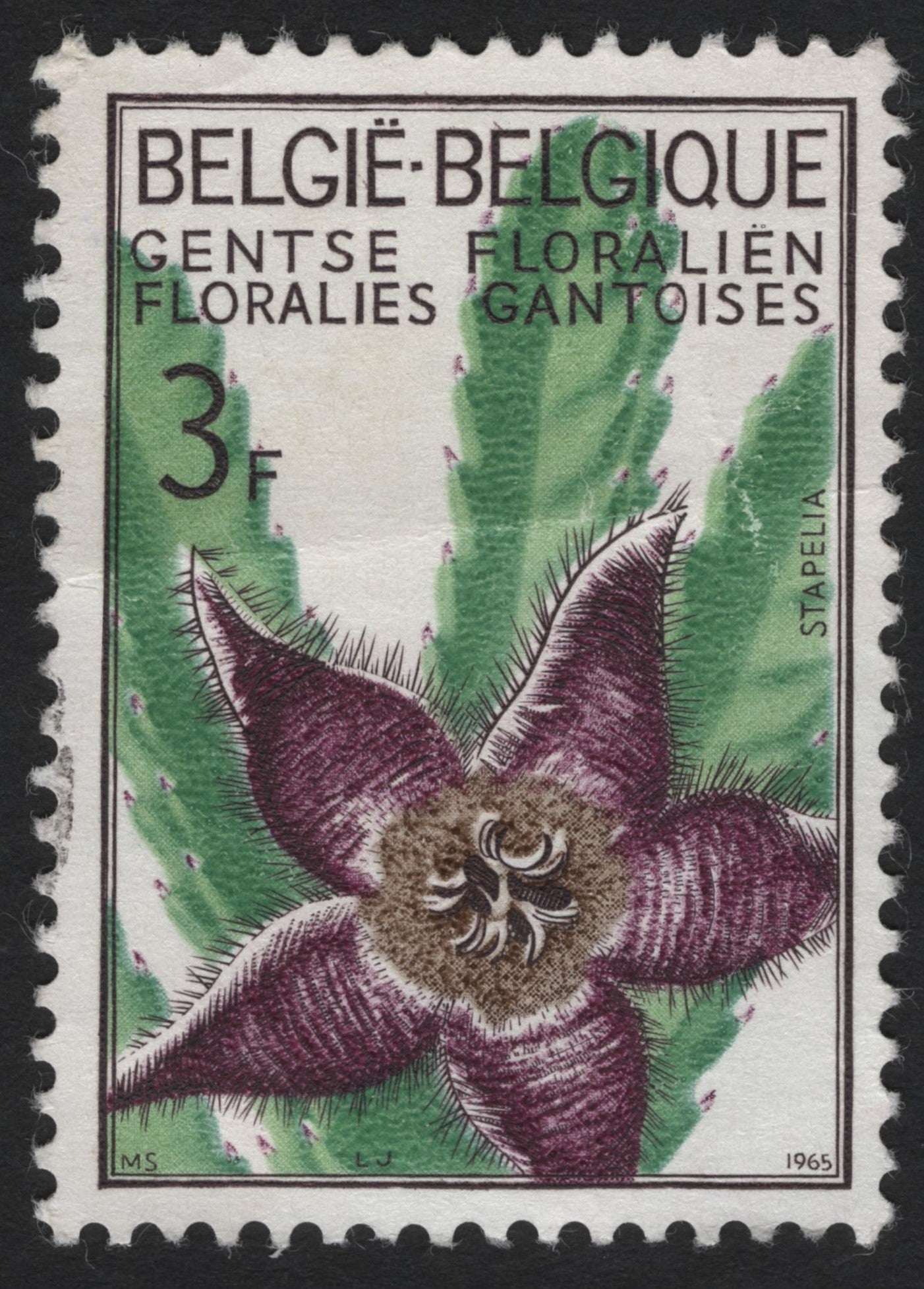 SCG5160 - Belgium 1965 – Stapelia Flower, Ghent Floralies