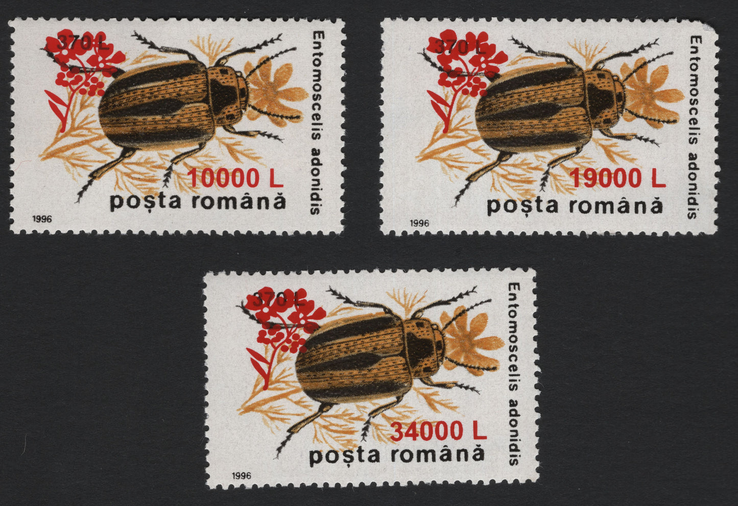 SCG5189 - Romania 1996 Entomoscelis adonidis Beetle Surcharged Issues