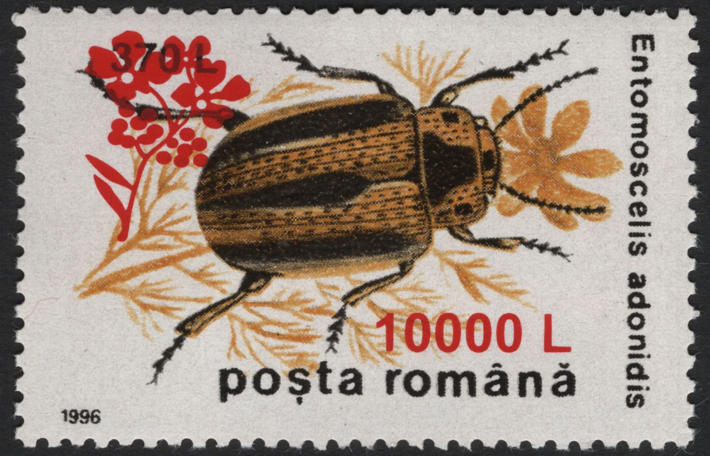 SCG5189 - Romania 1996 Entomoscelis adonidis Beetle Surcharged Issues