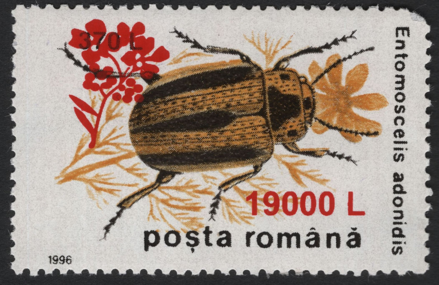 SCG5189 - Romania 1996 Entomoscelis adonidis Beetle Surcharged Issues