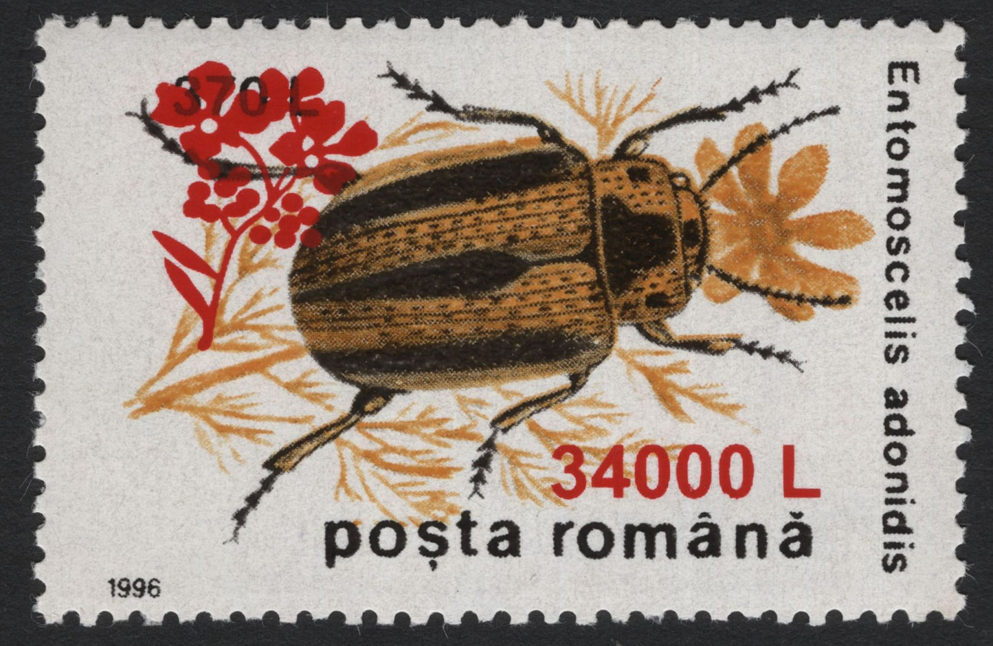 SCG5189 - Romania 1996 Entomoscelis adonidis Beetle Surcharged Issues