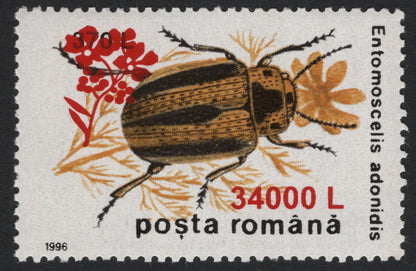 SCG5189 - Romania 1996 Entomoscelis adonidis Beetle Surcharged Issues