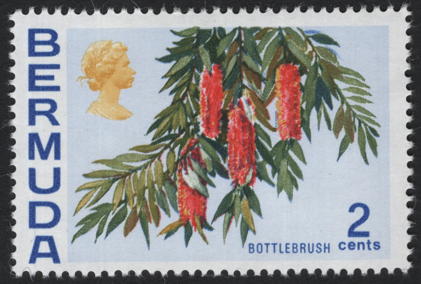 SCG5339 - Bermuda 2¢ Bottlebrush Stamp