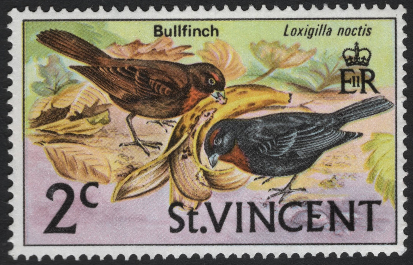 SCG5342 - St. Vincent 2¢ Bullfinch Stamp (Loxigilla noctis)