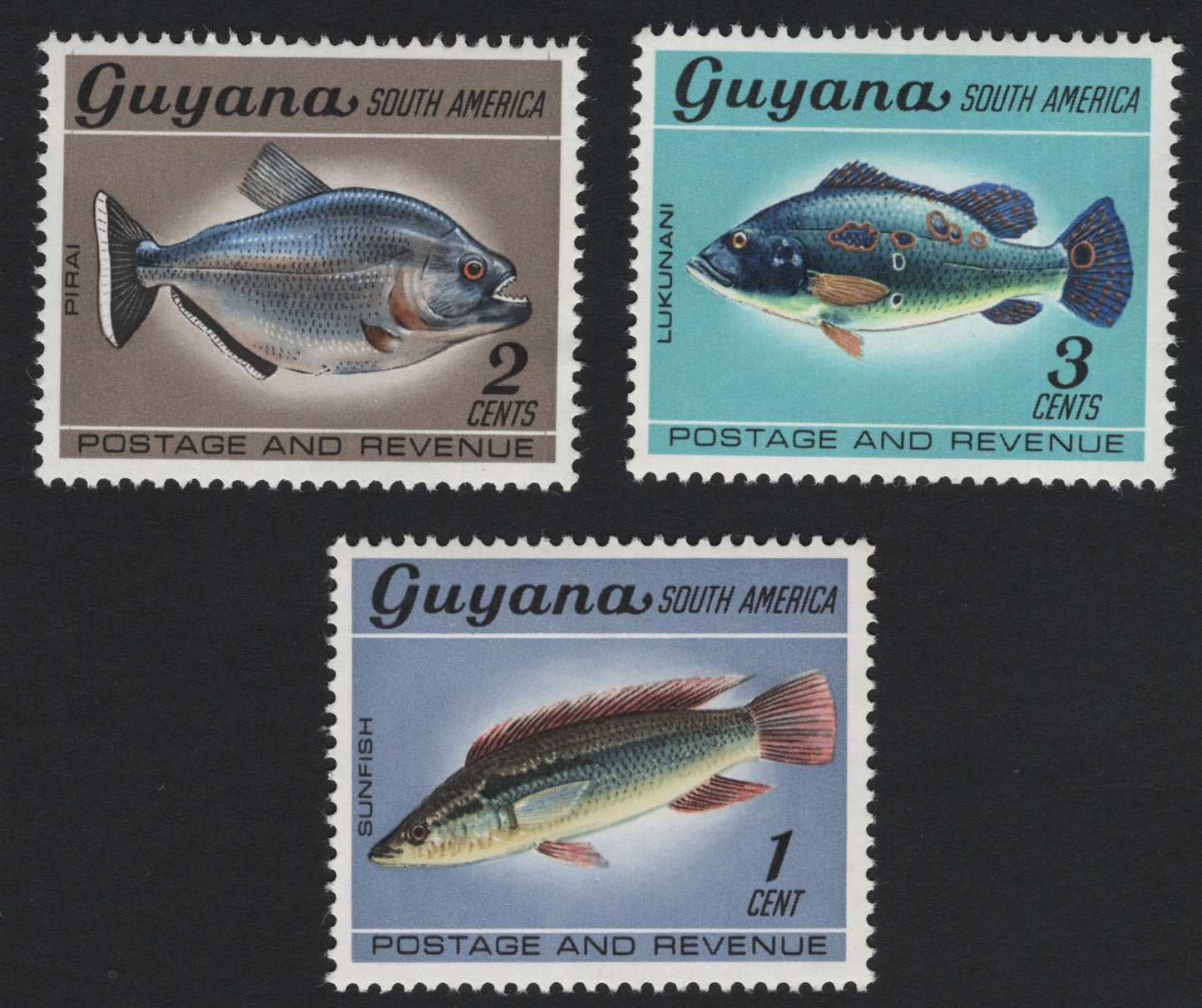 SCG5538 - Guyana 1960s Native Fish Definitives – Sunfish, Pirai & Lukunani