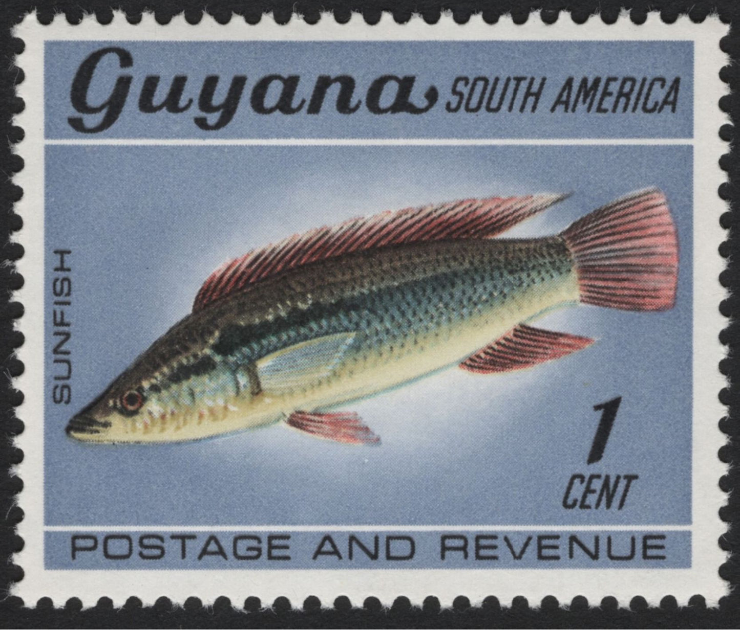 SCG5538 - Guyana 1960s Native Fish Definitives – Sunfish, Pirai & Lukunani