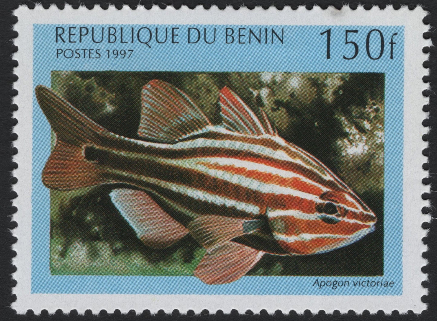 SCG5689 - Benin 1997 Tropical Fish Series