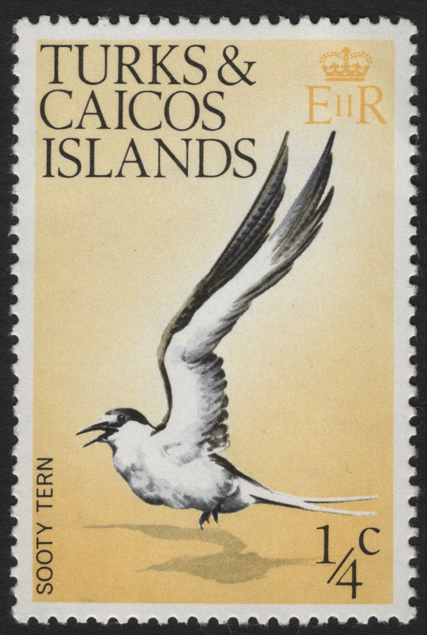 SCG5973 - Turks and Caicos Islands – Sooty Tern (¼ Cent)