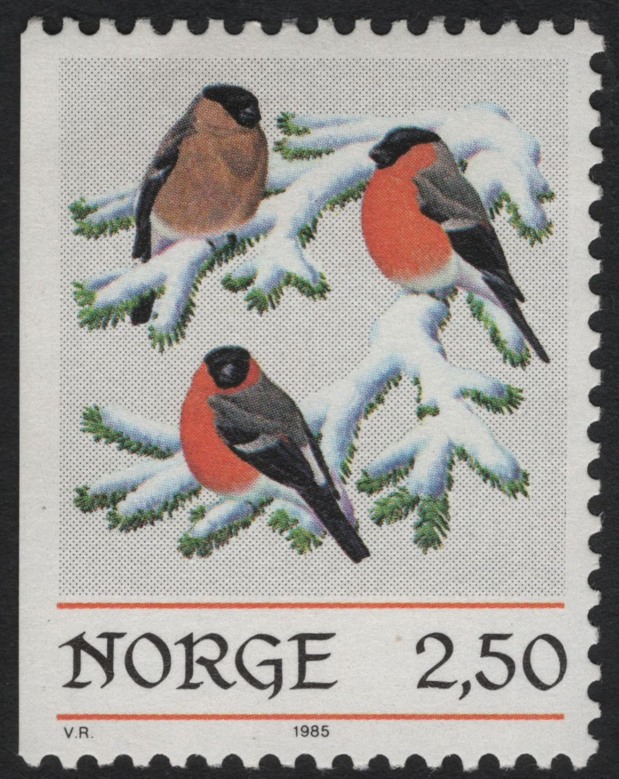 SCG5974 - Norway 1985 – Bullfinches on Snowy Branches