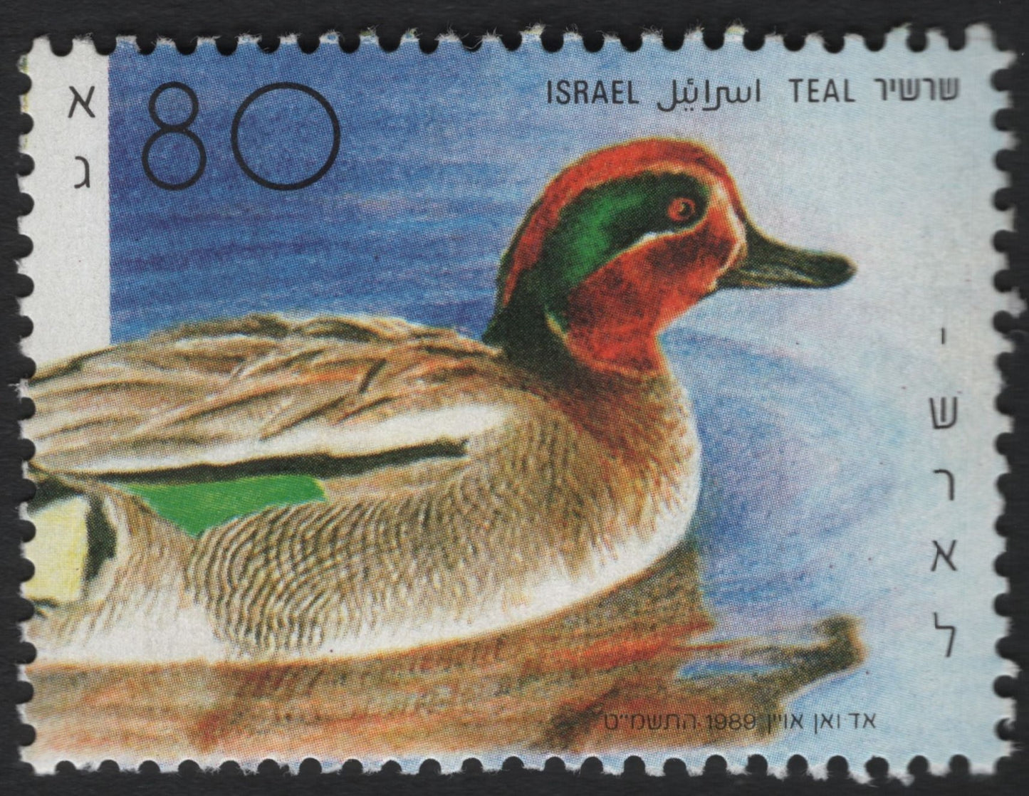 SCG5994 - Israel 1989 – Teal (Anas crecca)