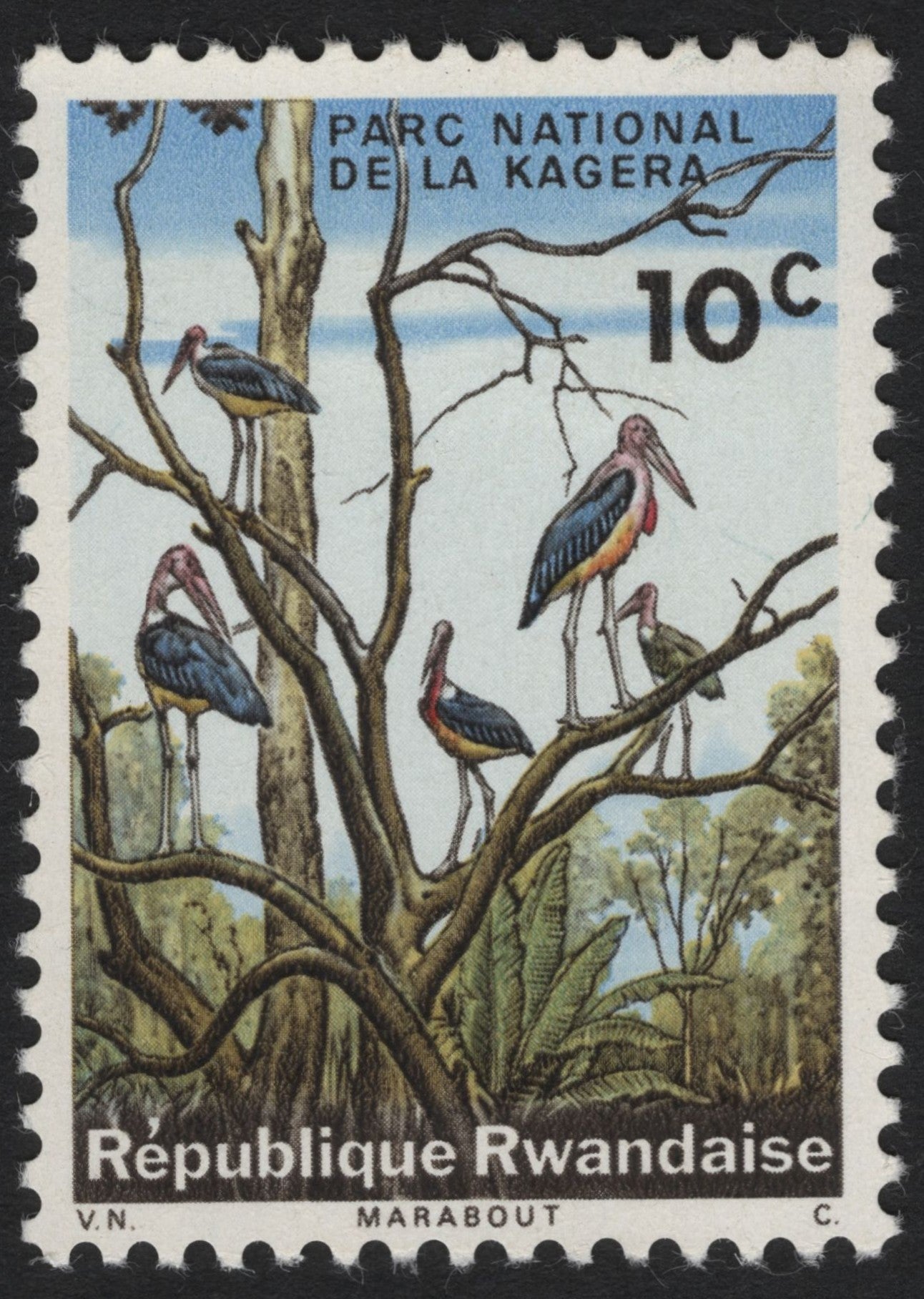 SCG5978 - Rwanda 1982 – Marabou Storks, Kagera National Park