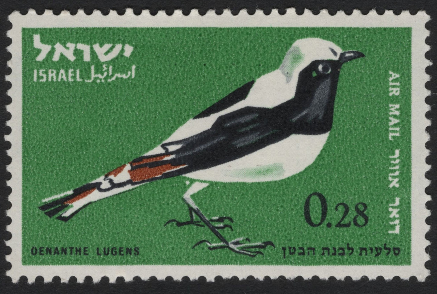 SCG6011 - Israel 0.28 IL Airmail Stamp – White-crowned Wheatear (Oenanthe lugens)
