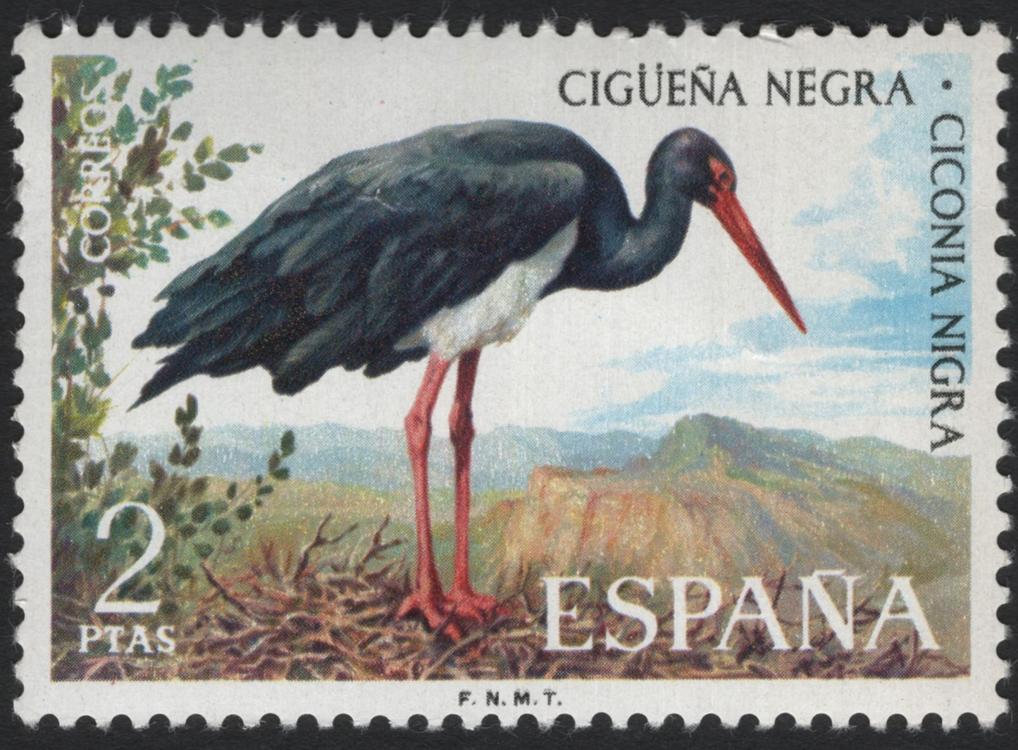 SCG6013 - Spain 2 Ptas “Black Stork – Ciconia nigra” Stamp