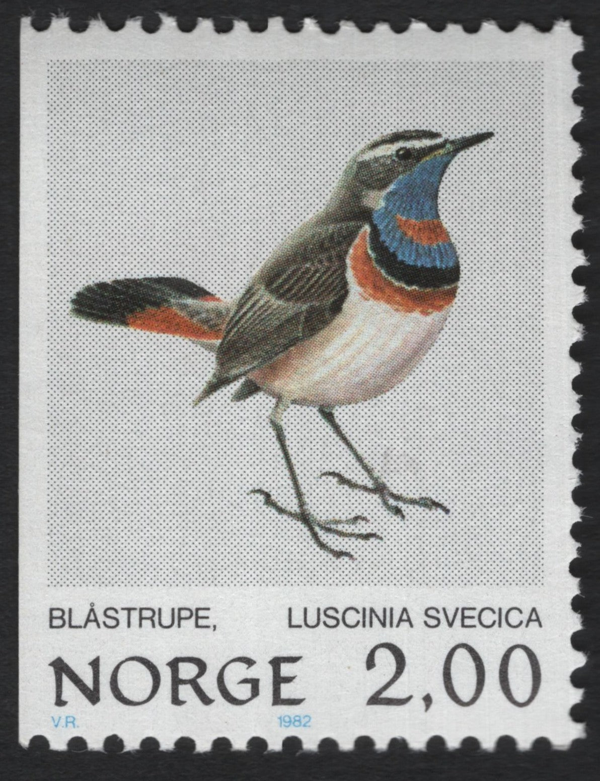 SCG6014 - Norway 1982 Bluethroat Stamp (Luscinia svecica)