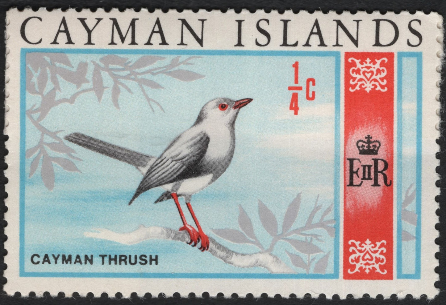 SCG5997 - Cayman Islands ¼ Cent “Cayman Thrush” Stamp (Queen Elizabeth II Issue)