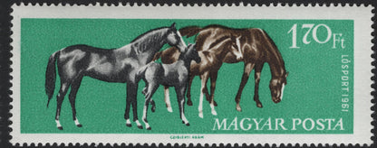 SCG5653 - Hungary 1961 Horse Racing Set