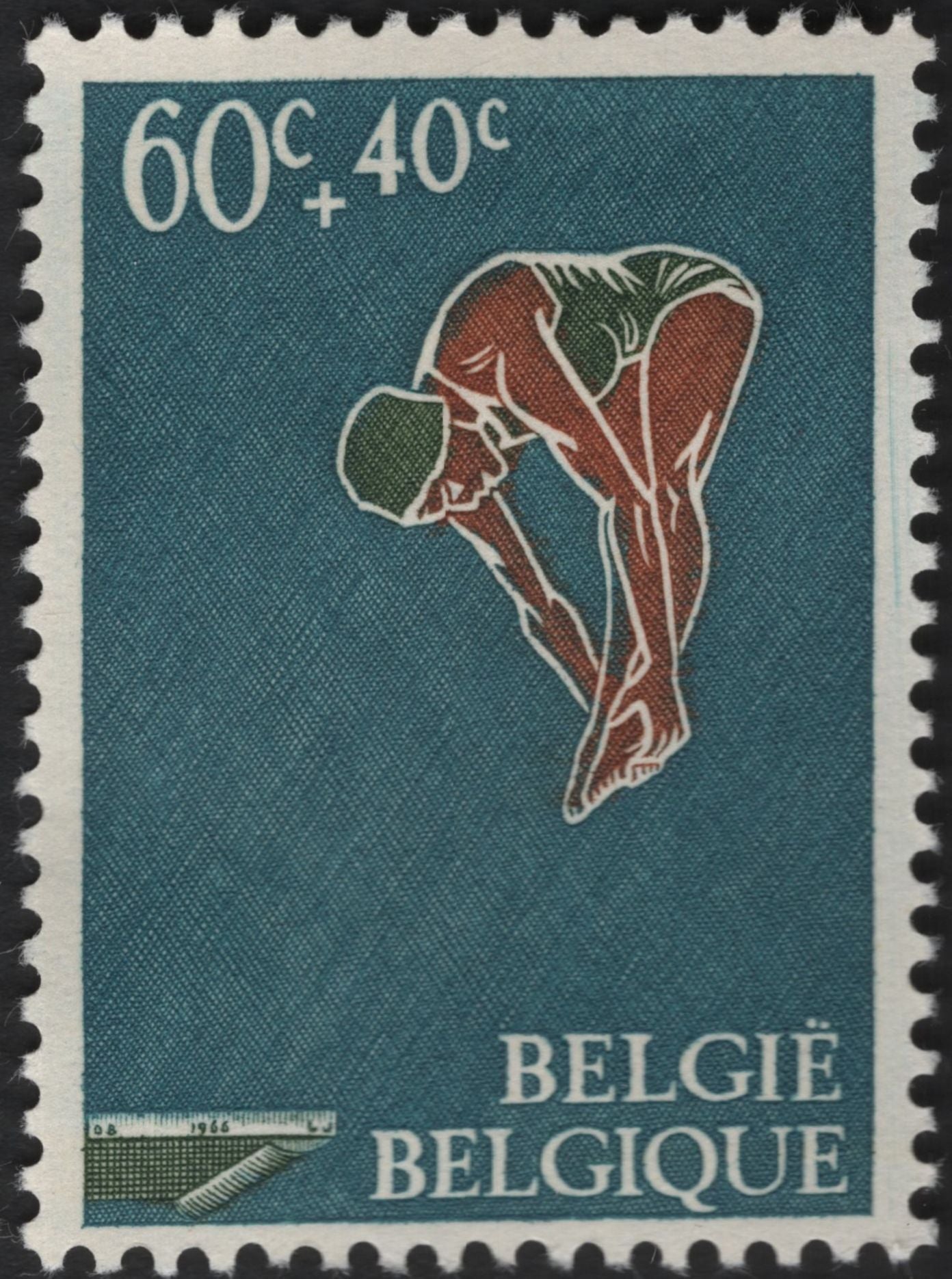 SCG5798 - Belgium 1966 Charity Stamps – Swimming and Diving
