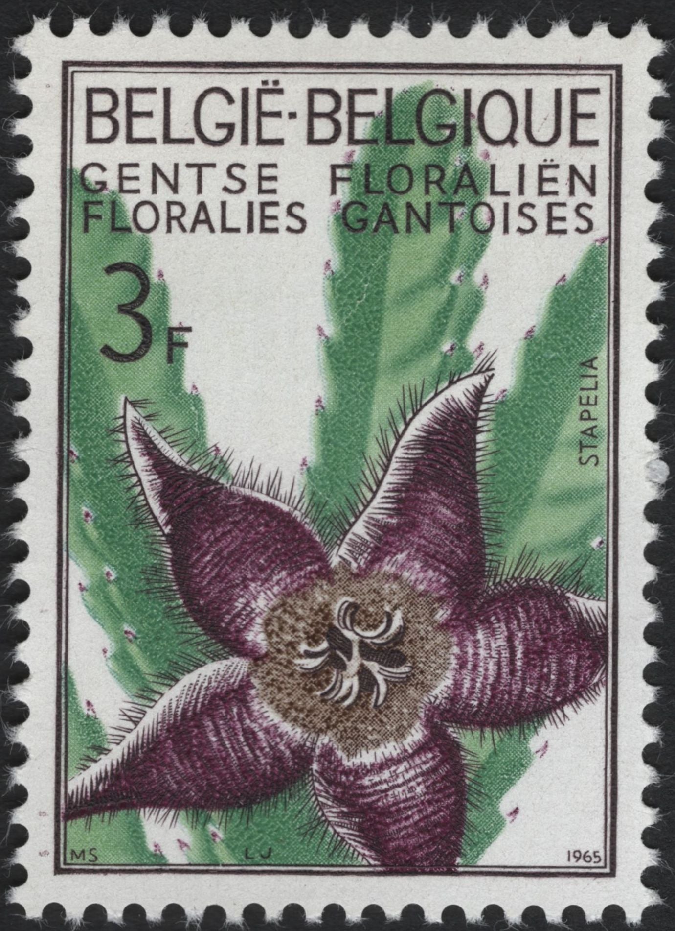 SCG5806 - Belgium 1965 – Ghent Floralies Botanical Series