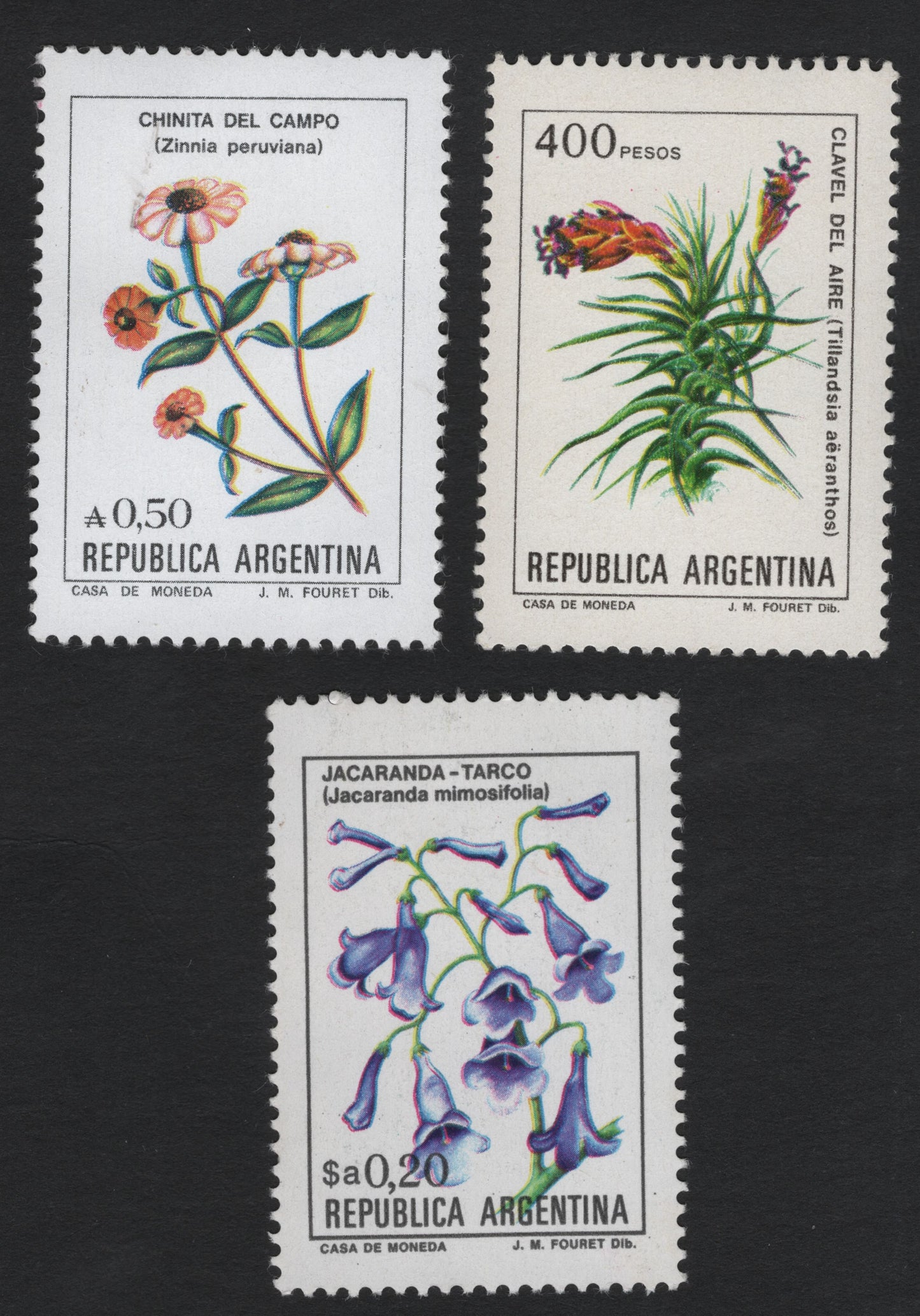 SCG5891 - Argentina Native Flora – Zinnia, Tillandsia, and Jacaranda (Floral Definitives)