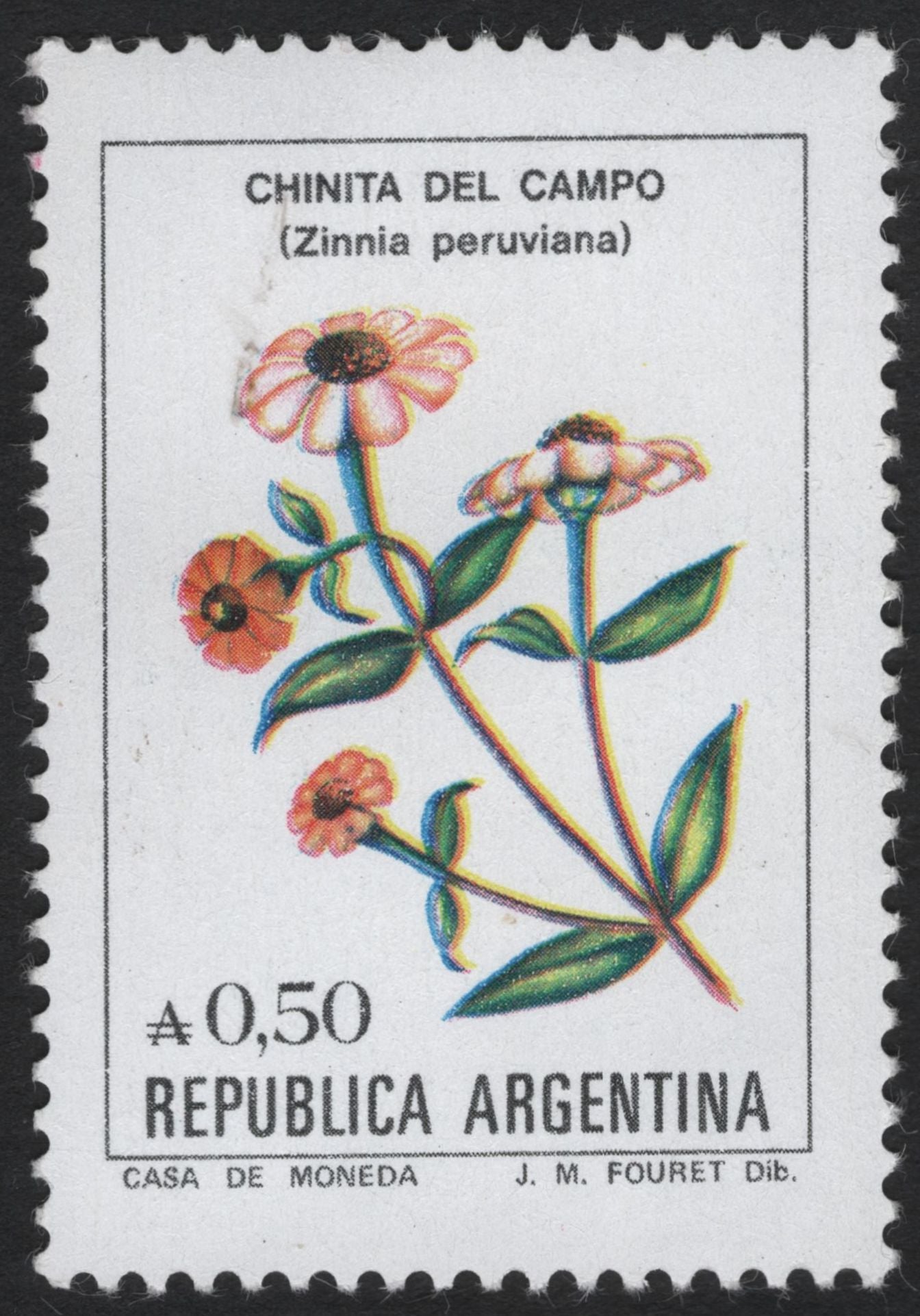 SCG5891 - Argentina Native Flora – Zinnia, Tillandsia, and Jacaranda (Floral Definitives)