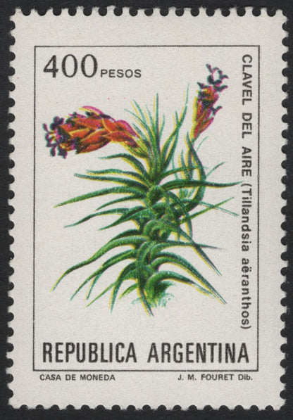 SCG5891 - Argentina Native Flora – Zinnia, Tillandsia, and Jacaranda (Floral Definitives)