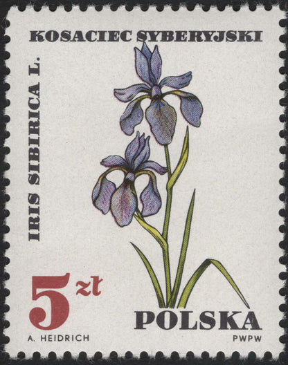 SCG5889 - 🌸 Poland 1970 – Native Flora Series (Iris sibirica & Lycopodium clavatum)