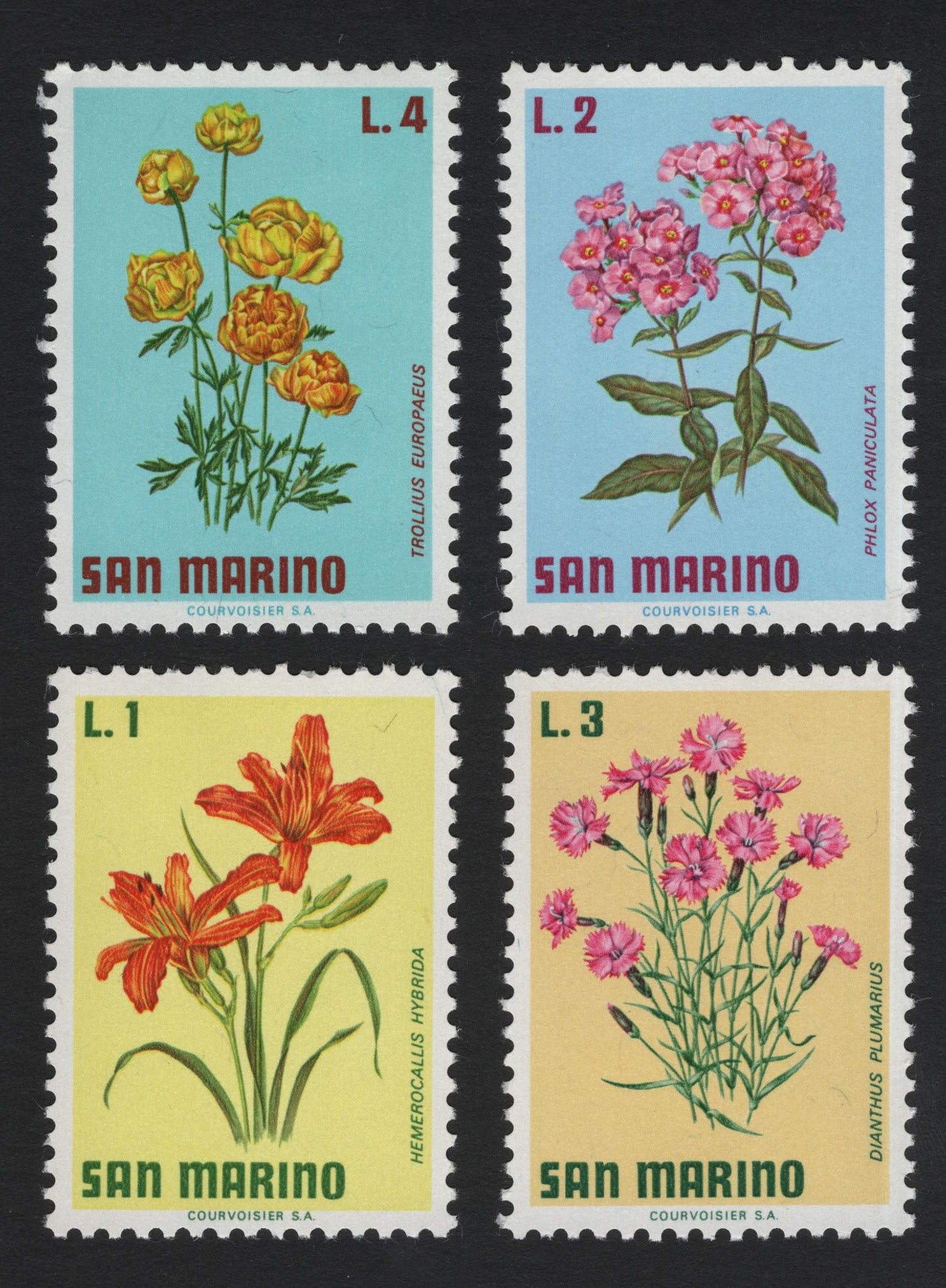 SCG5893 - Philatelic Entry – San Marino 1960s Flora Series