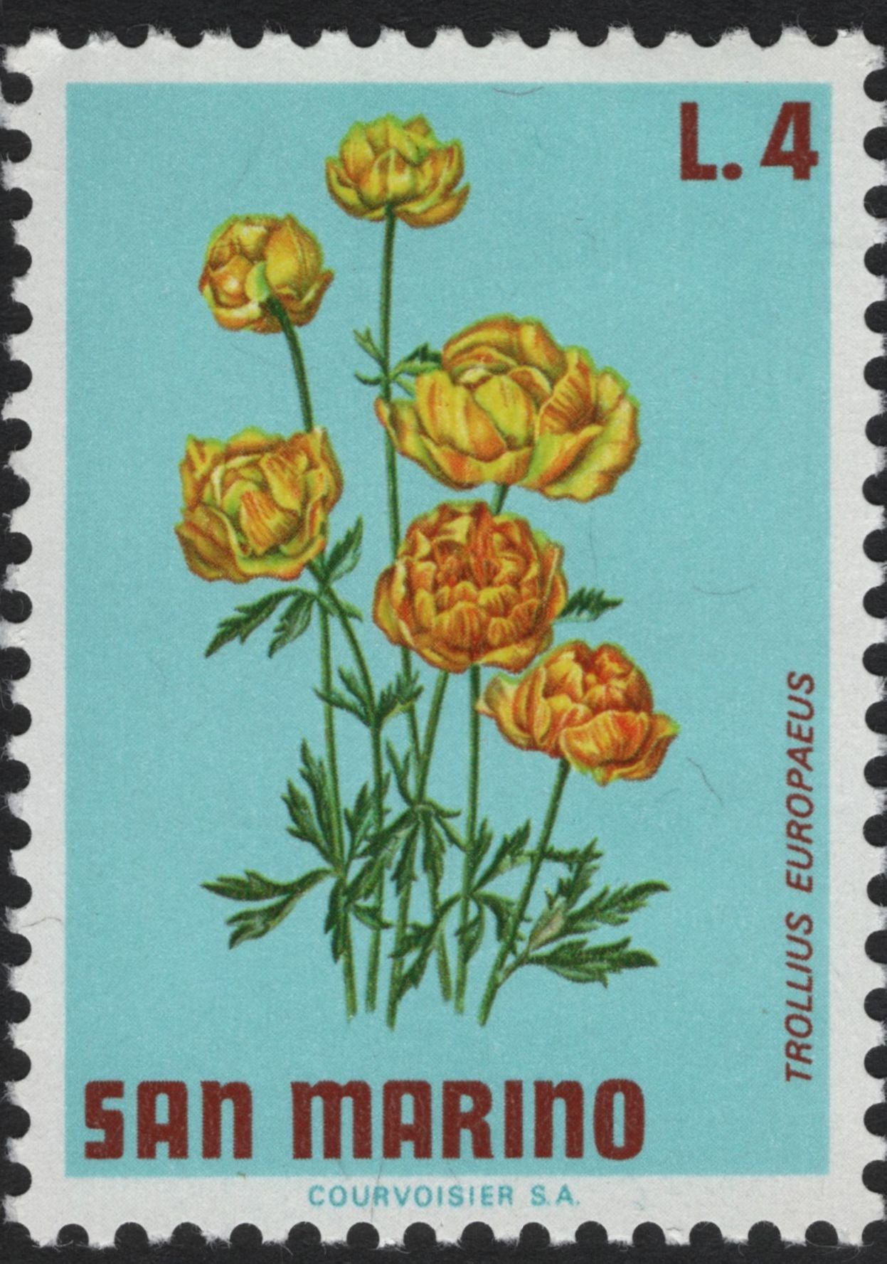 SCG5893 - Philatelic Entry – San Marino 1960s Flora Series