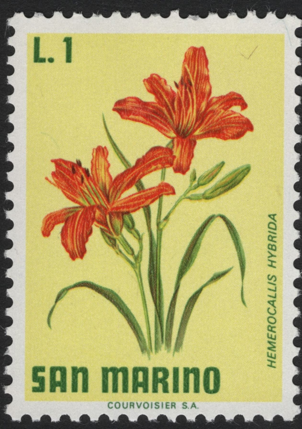 SCG5893 - Philatelic Entry – San Marino 1960s Flora Series