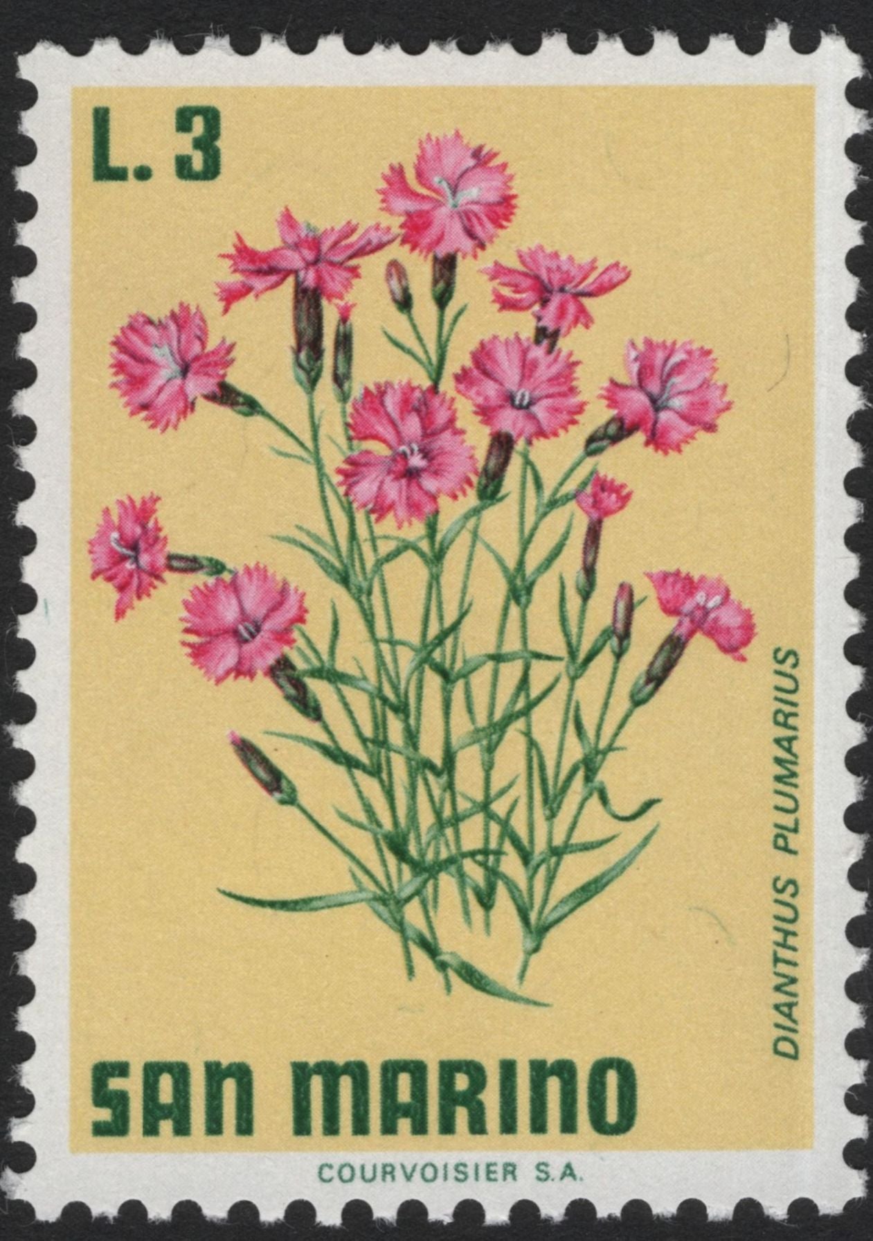 SCG5893 - Philatelic Entry – San Marino 1960s Flora Series