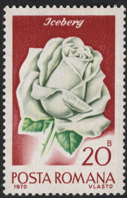 SCG5894 - Romania 1970 “Roses” Definitive Issue – Wiener Charme, Icebery, and Pink Lustre