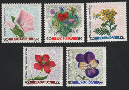 SCG5895 - Poland 1967 – “Kwiaty Polne” (Wildflowers) Series