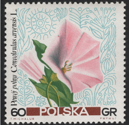 SCG5895 - Poland 1967 – “Kwiaty Polne” (Wildflowers) Series
