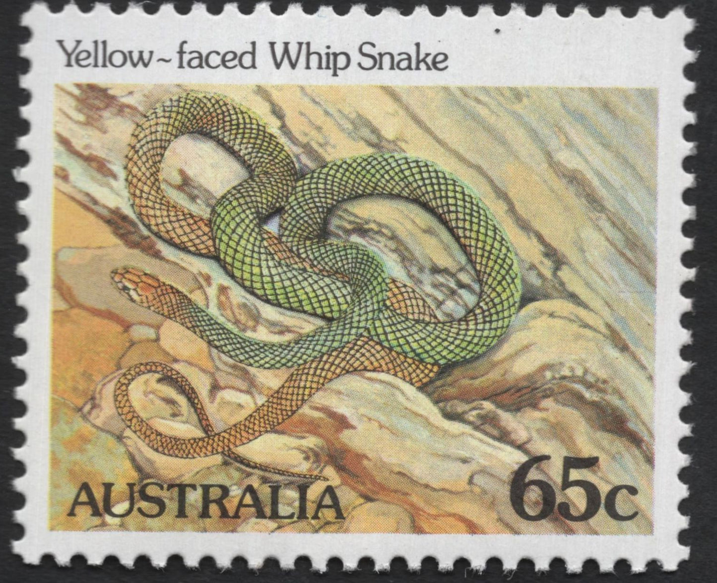 SCG5899 - Philatelic Entry – Australia 1980 “Reptiles and Amphibians” Series
