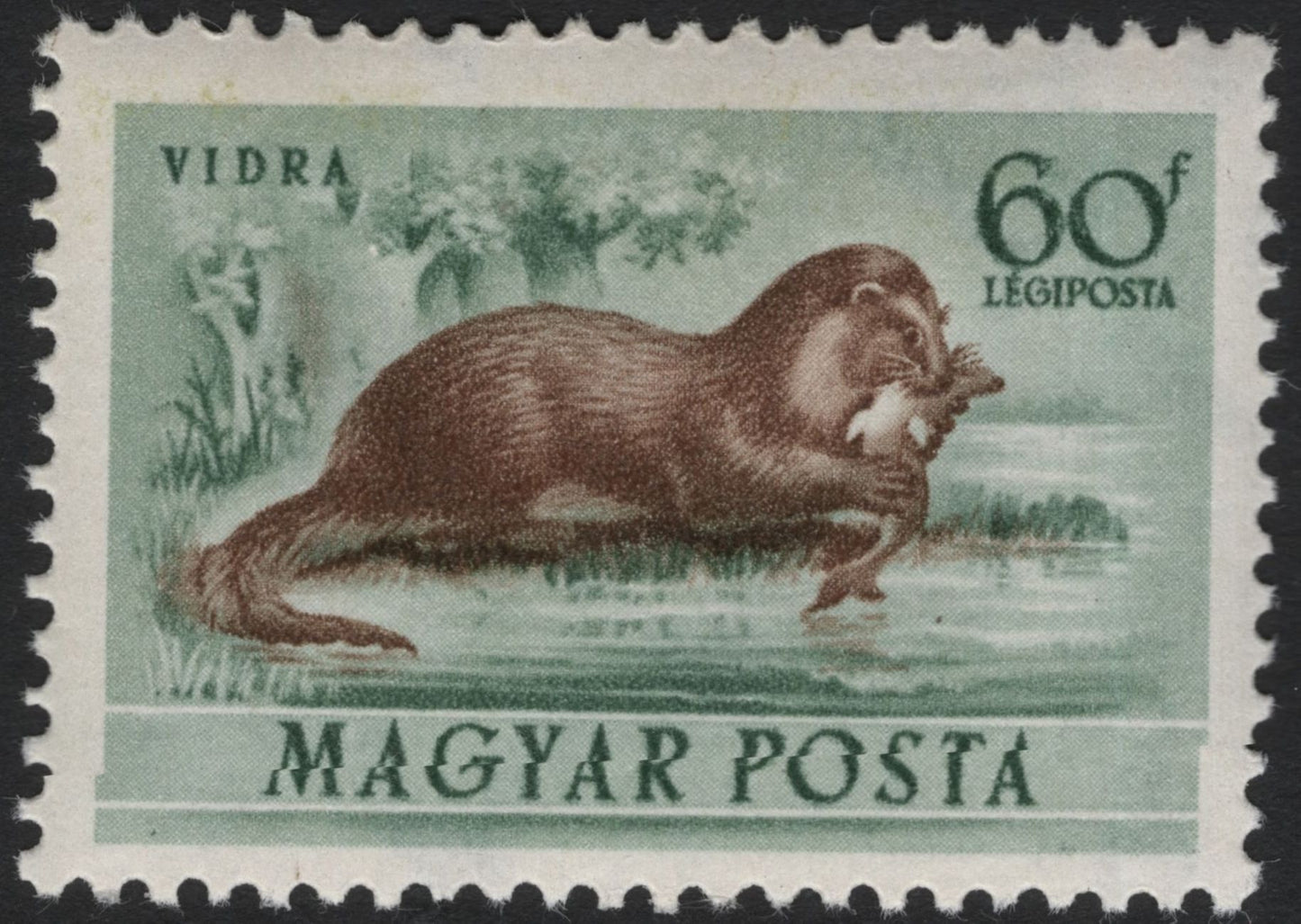 SCG5898 - Hungary 1958 Airmail “Wild Animals” Series